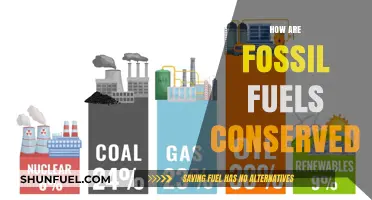 Preserving Fossil Fuels: Strategies for Conservation and Sustainability