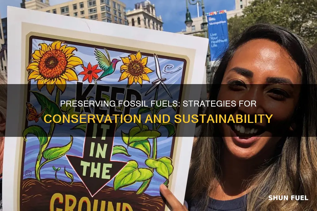how are fossil fuels conserved