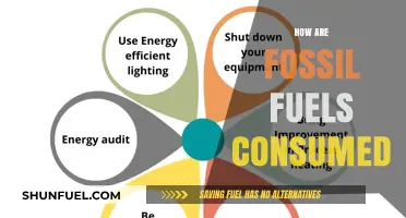 The Consumption of Fossil Fuels: A Global Overview