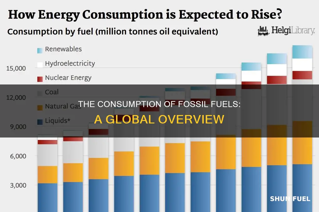 how are fossil fuels consumed