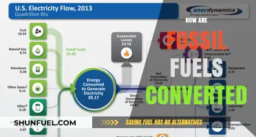 Fossil Fuels: Conversion Methods and Energy Sources
