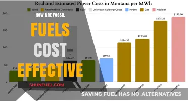 Fossil Fuels: Cheap, Reliable Energy Sources