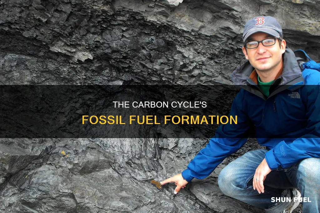 how are fossil fuels created in the carbon cycle