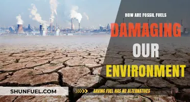 Fossil Fuels: Damaging Our Environment, Hurting Our Future