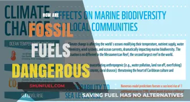 Fossil Fuels: A Dangerous Path for Our Future