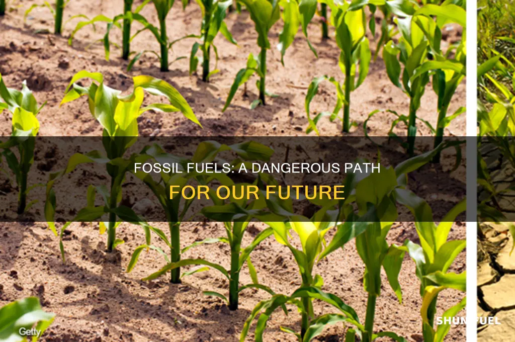 how are fossil fuels dangerous