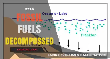 The Decomposition of Fossil Fuels: Understanding the Process