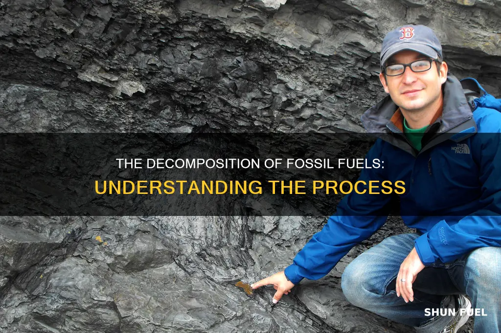 how are fossil fuels decompossed