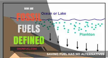 Fossil Fuels: What Are They and How Do They Work?