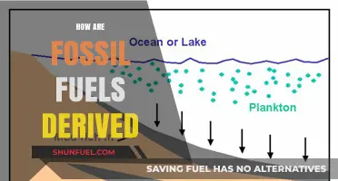 The Evolution of Fossil Fuels: A Historical Perspective