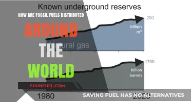 Global Fossil Fuel Distribution: Where is it Found?
