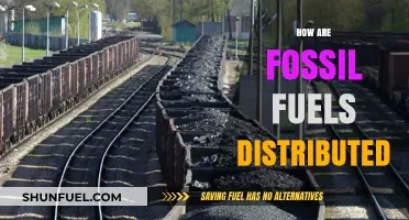 The Journey of Fossil Fuels: Extraction to Distribution