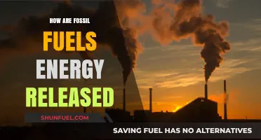 Unleashing Fossil Fuel Energy: How Does it Work?