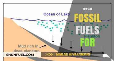 Fossil Fuels: A Historical Power Source
