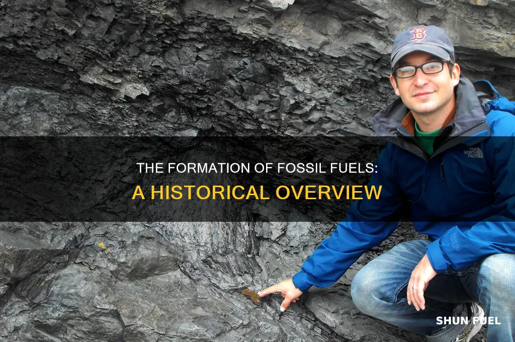 how are fossil fuels form