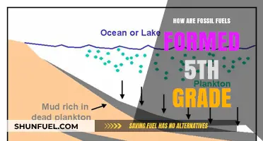 The Story of Fossil Fuels: Past, Present, and Future