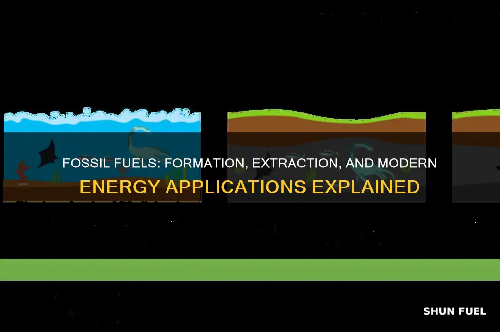 how are fossil fuels formed and how are they used