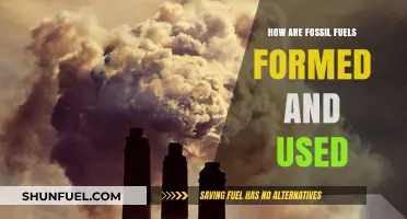 Fossil Fuels: Formation, Extraction, and Usage Explained