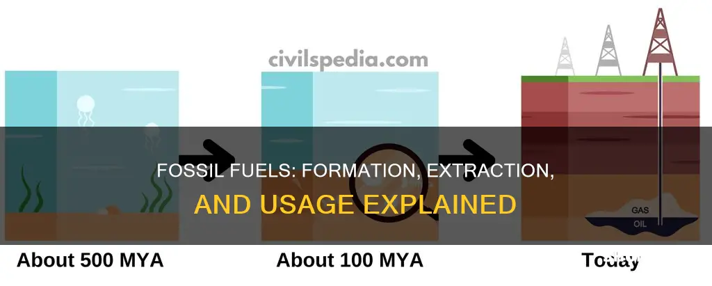 how are fossil fuels formed and used