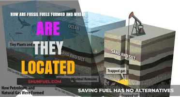 The Formation of Fossil Fuels: Where and How?