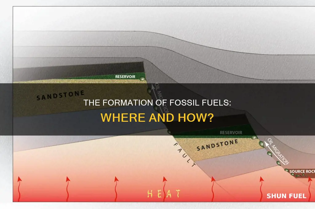 how are fossil fuels formed and where are they located