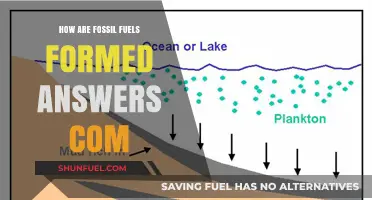 The Formation of Fossil Fuels: A Historical Perspective
