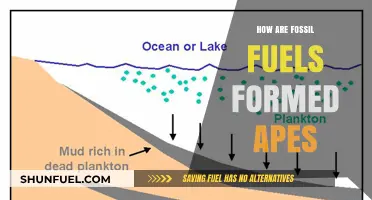 The Formation of Fossil Fuels: A Historical Overview
