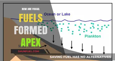 The Evolution of Fossil Fuels: A Historical Perspective