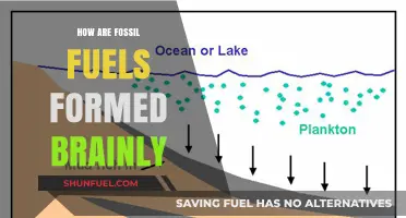 The Evolution of Fossil Fuels: A Historical Perspective