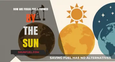 The Sun's Role in Fossil Fuel Formation