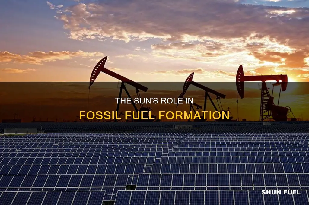how are fossil fuels formed by the sun