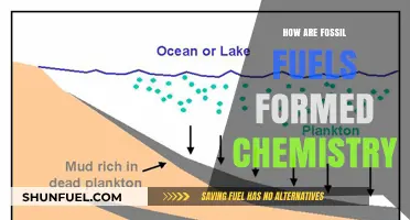 Chemistry of Fossil Fuels: Their Formation