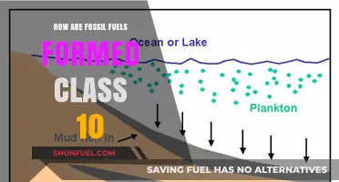 The Formation of Fossil Fuels: A Historical Overview