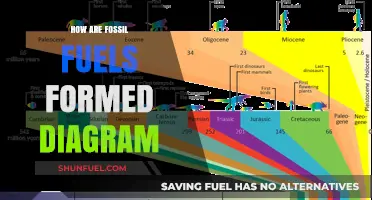 The Formation of Fossil Fuels: A Visual Guide
