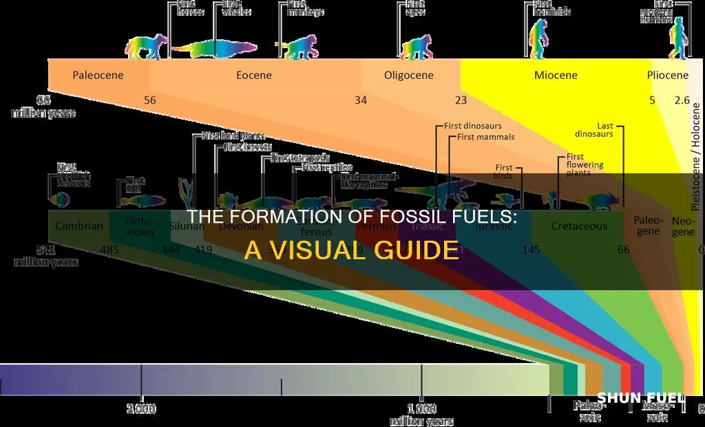 how are fossil fuels formed diagram