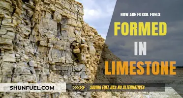 Fossil Fuels: Limestone's Ancient Energy Secret