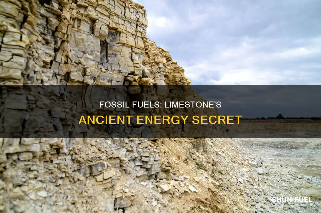 how are fossil fuels formed in limestone