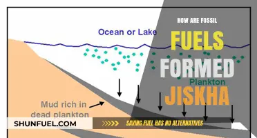 The Formation of Fossil Fuels: A Historical Overview