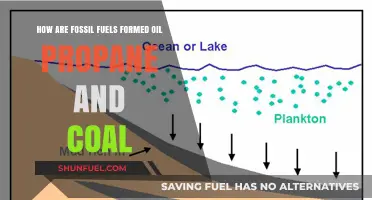 Fossil Fuels: Oil, Propane, and Coal Formation