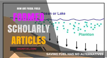 The Evolution of Fossil Fuels: Scientific Insights