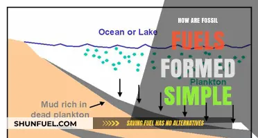 The Formation of Fossil Fuels: A Simple Explanation