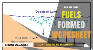 The Formation of Fossil Fuels: A Worksheet Guide