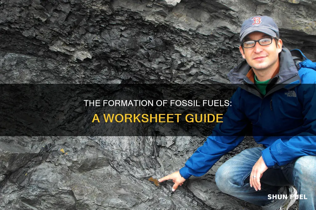 how are fossil fuels formed worksheet