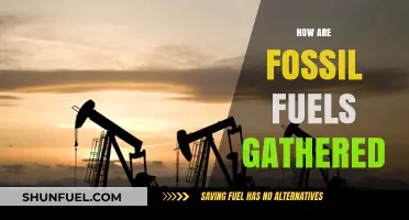 Unearthing Fossil Fuels: The Extraction Process Explained