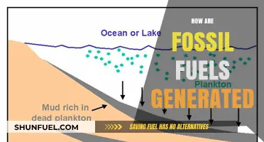 The Origin of Fossil Fuels: A Historical Perspective