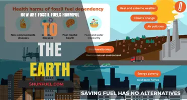 Fossil Fuels: Harming Our Planet, Our Future