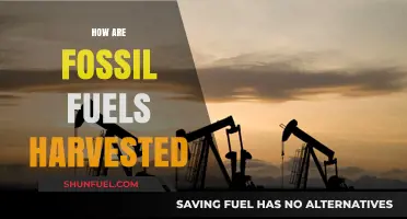 Harvesting Fossil Fuels: Methods and Environmental Impact