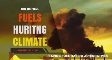 Fossil Fuels: Damaging Climate, Hurting Our Future