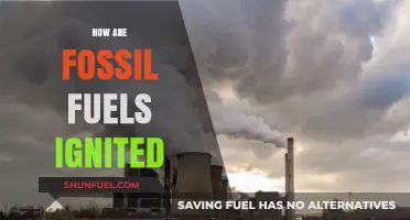 The Ignition of Fossil Fuels: What's the Spark?