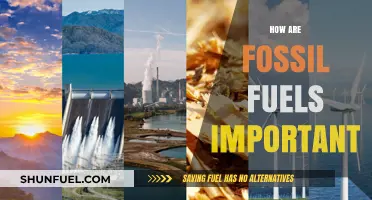 Fossil Fuels: Powering Our World, Pros and Cons